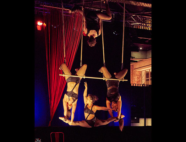 Aerialists Brisbane - Trapeze Artists - Aerial Entertainment Performers